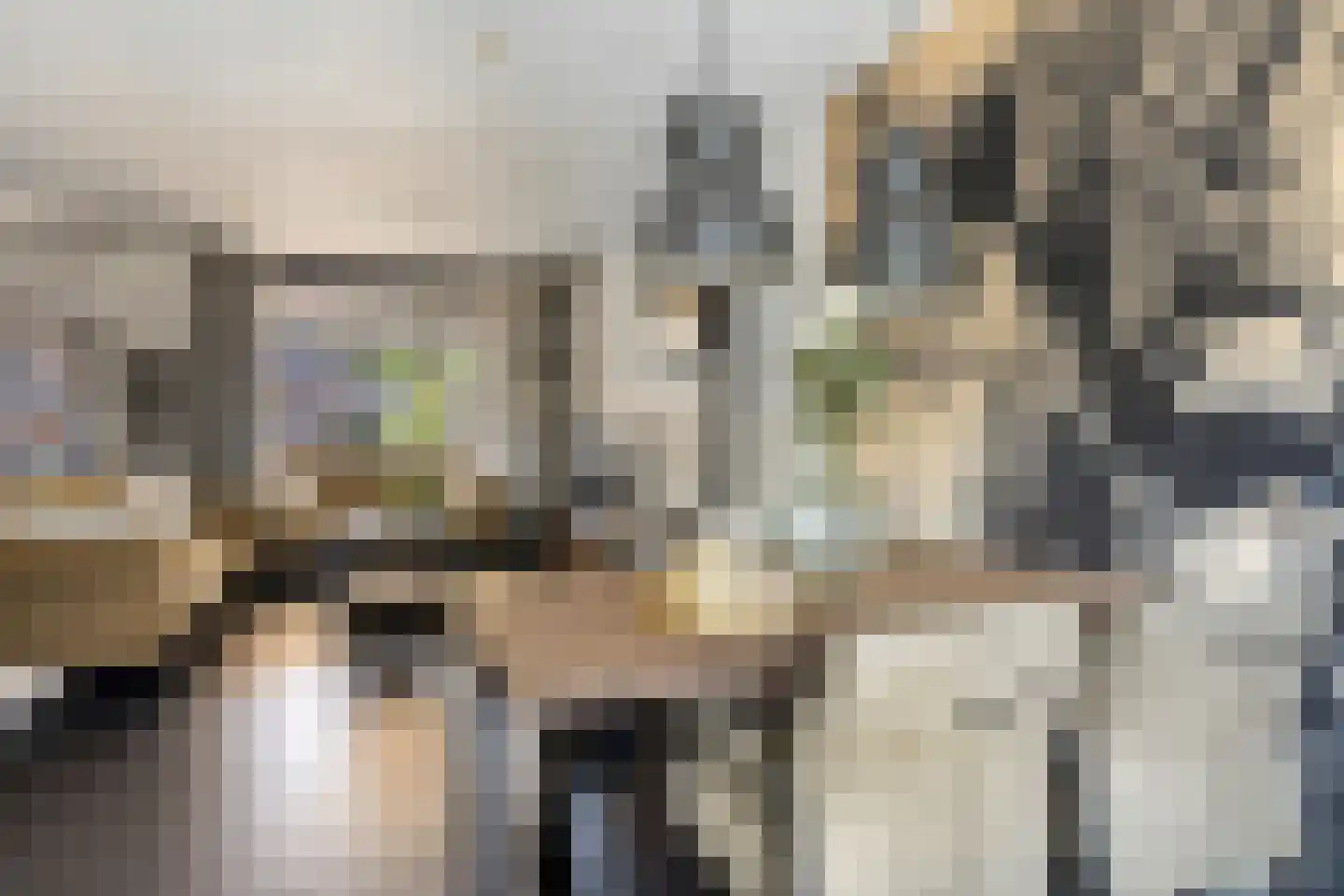 Papeweer 21 Raamsdonksveer thumbnail 24