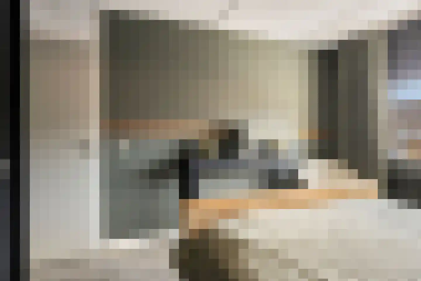 Papeweer 21 Raamsdonksveer thumbnail 31