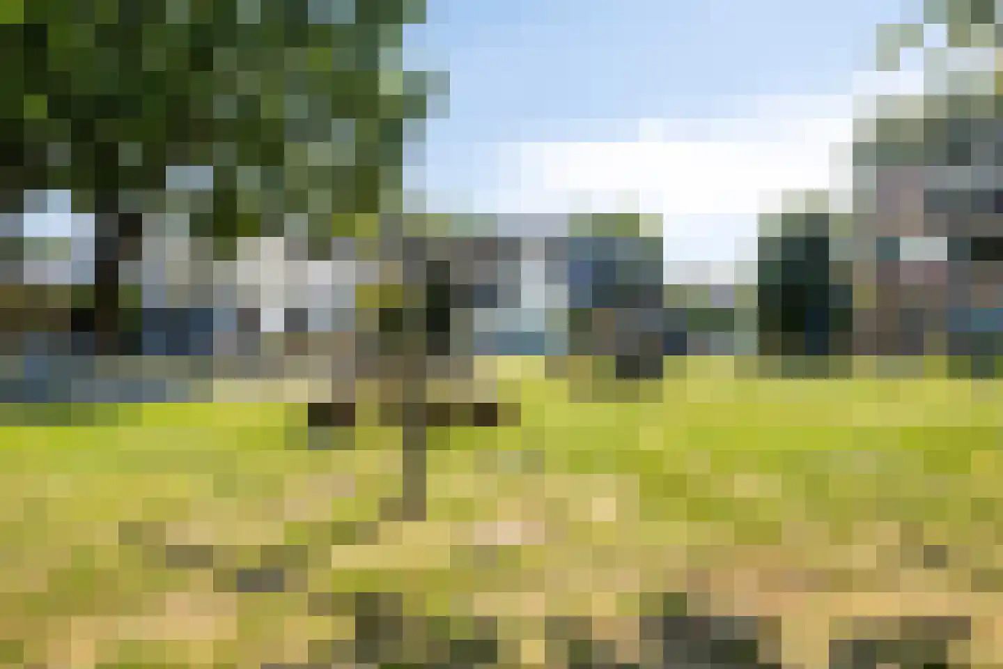 Papeweer 21 Raamsdonksveer thumbnail 44