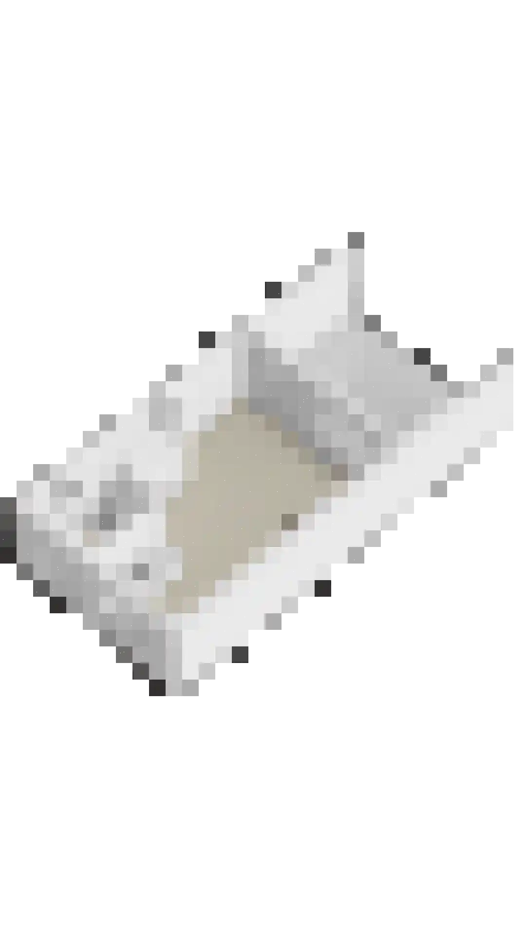 Papeweer 21 Raamsdonksveer thumbnail 51