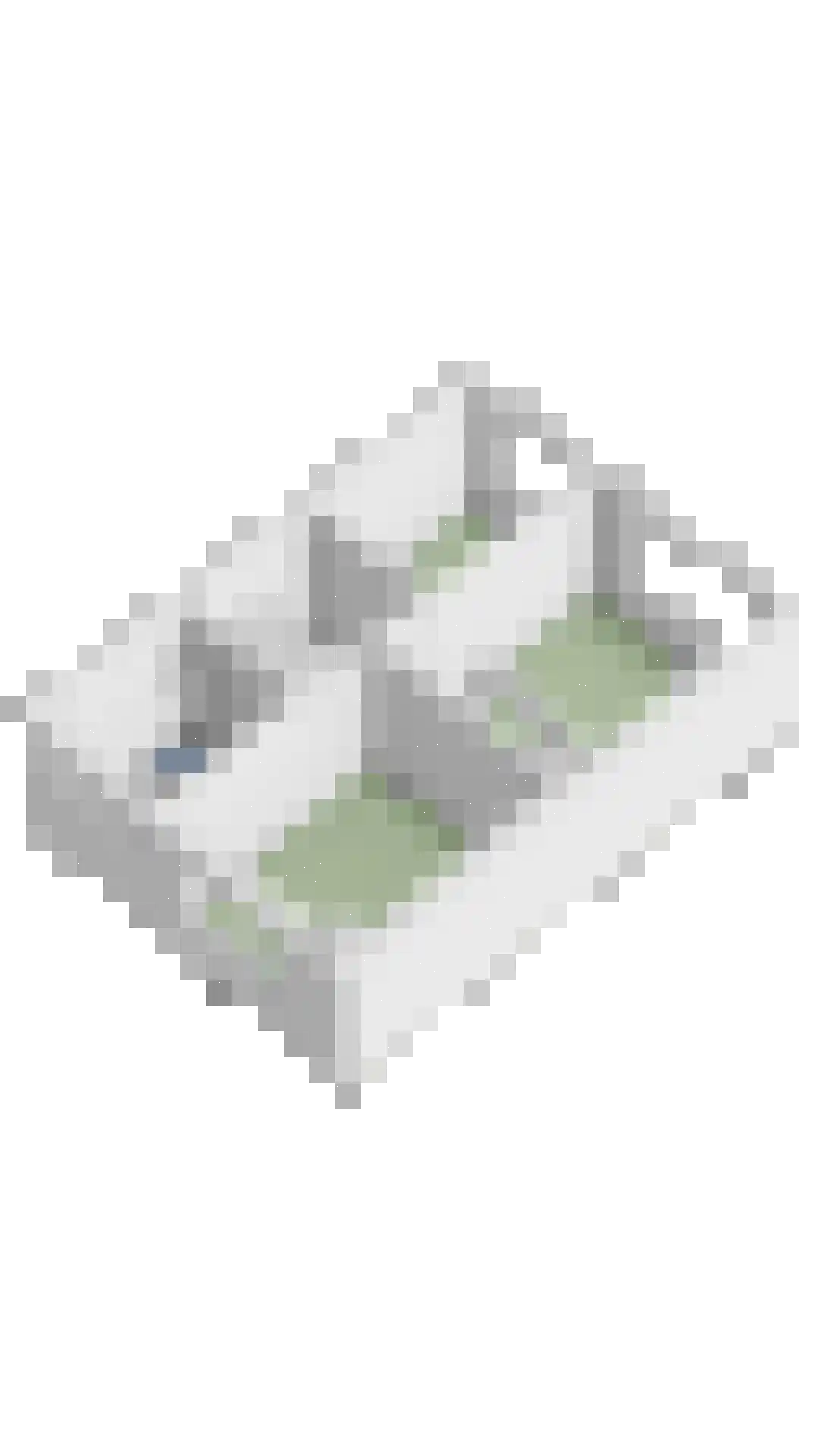 Papeweer 21 Raamsdonksveer thumbnail 52