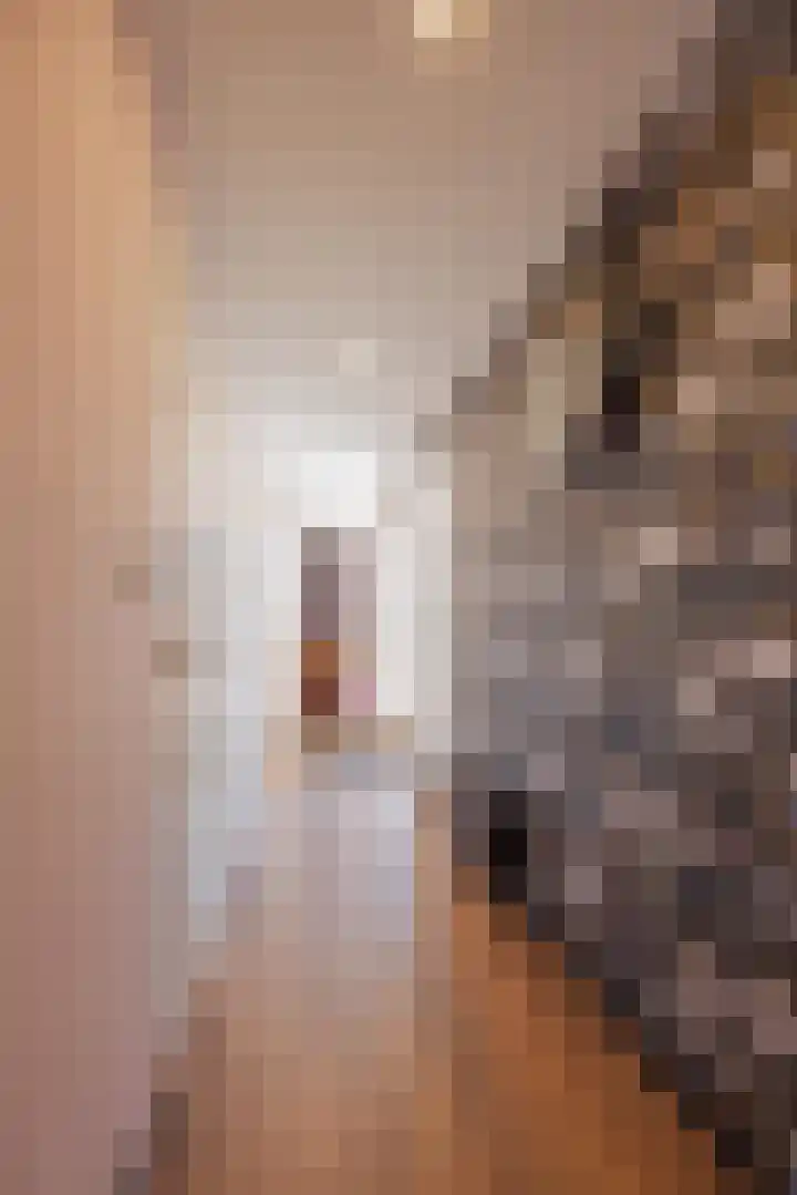 Papeweer 36 Raamsdonksveer thumbnail 15