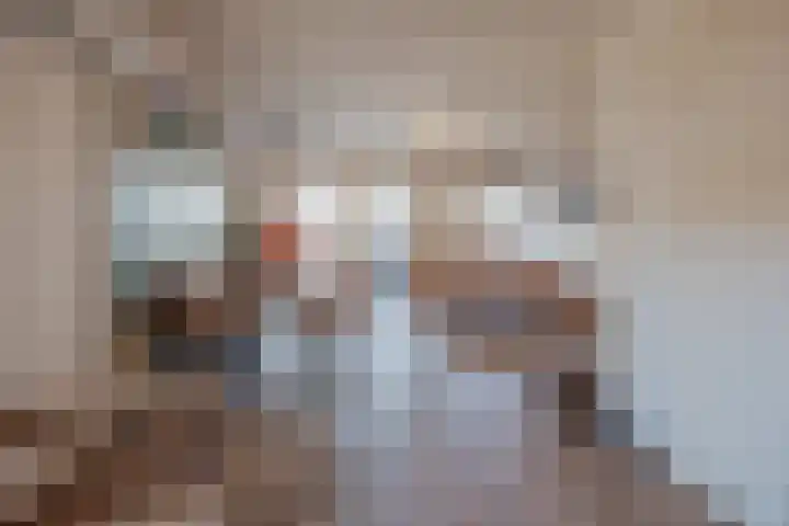 Papeweer 36 Raamsdonksveer thumbnail 18