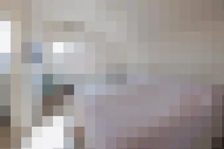 Papeweer 36 Raamsdonksveer thumbnail 28