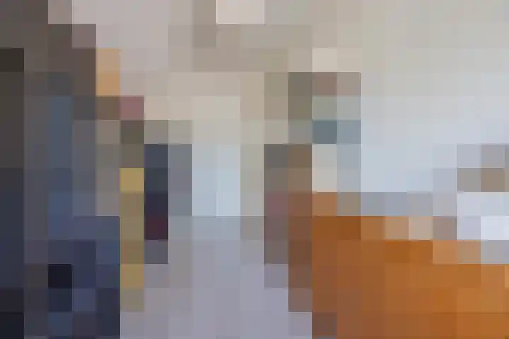 Papeweer 36 Raamsdonksveer thumbnail 33