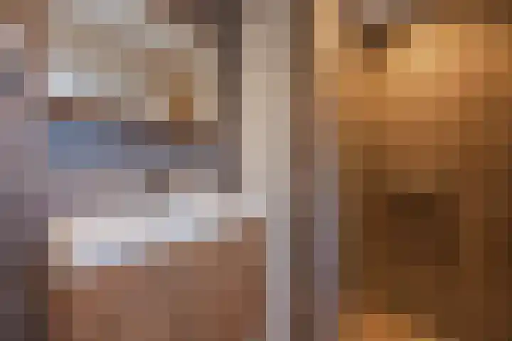 Papeweer 36 Raamsdonksveer thumbnail 37