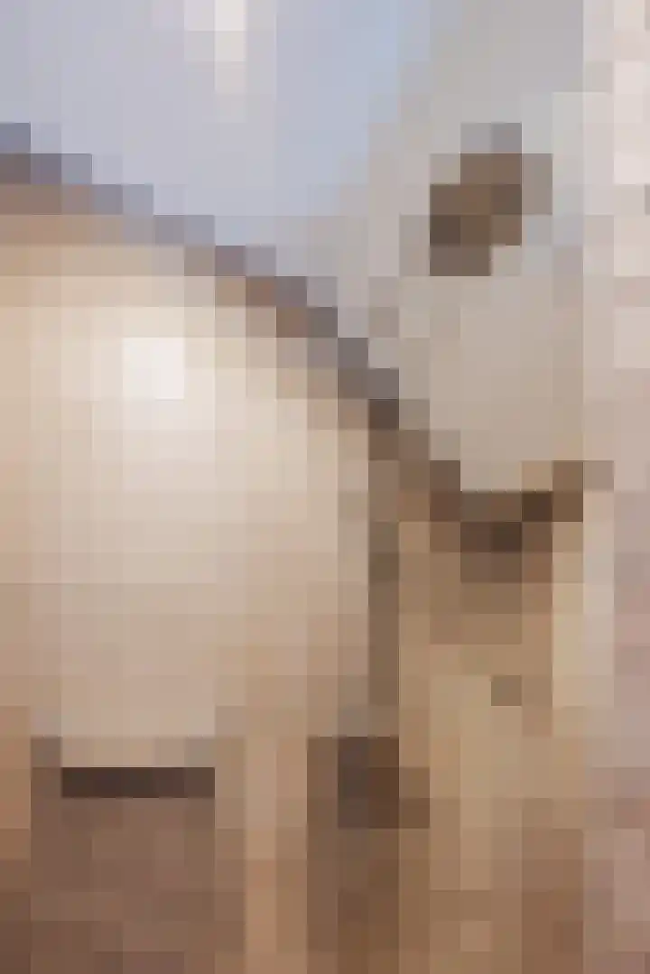 Papeweer 36 Raamsdonksveer thumbnail 38