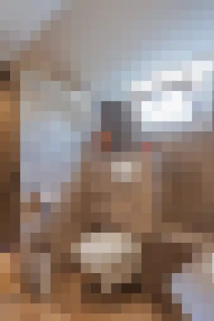 Papeweer 36 Raamsdonksveer thumbnail 39