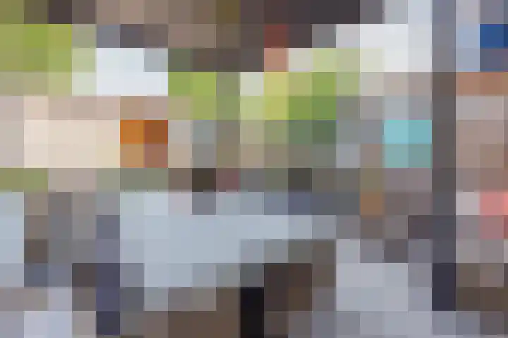 Papeweer 36 Raamsdonksveer thumbnail 40