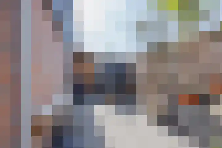 Papeweer 36 Raamsdonksveer thumbnail 42