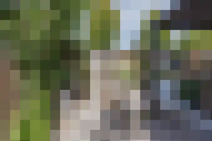 Papeweer 36 Raamsdonksveer thumbnail 43