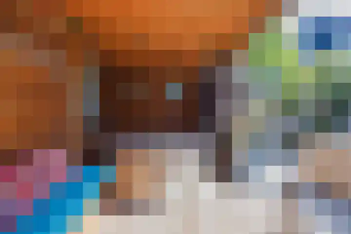 Papeweer 36 Raamsdonksveer thumbnail 46