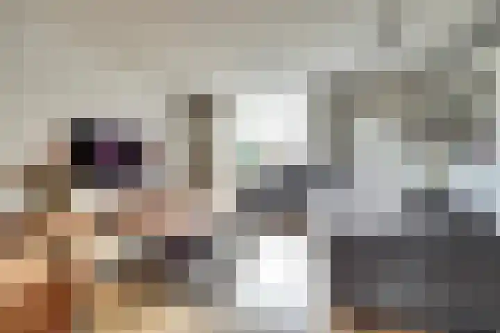 Papeweer 6 Raamsdonksveer thumbnail 10