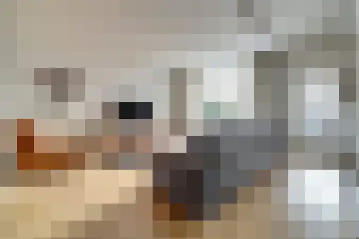 Papeweer 6 Raamsdonksveer thumbnail 12