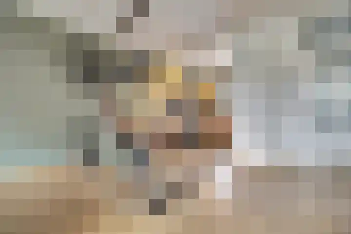 Papeweer 6 Raamsdonksveer thumbnail 14