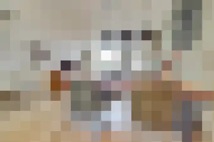 Papeweer 6 Raamsdonksveer thumbnail 15