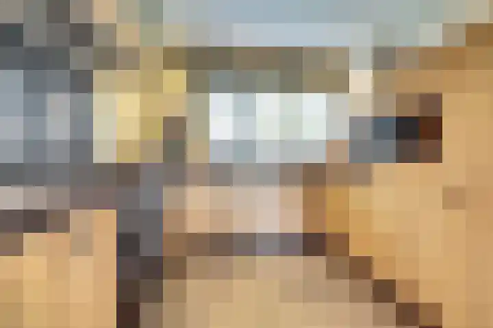 Papeweer 6 Raamsdonksveer thumbnail 17