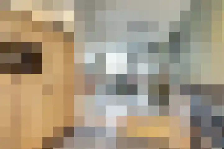 Papeweer 6 Raamsdonksveer thumbnail 20