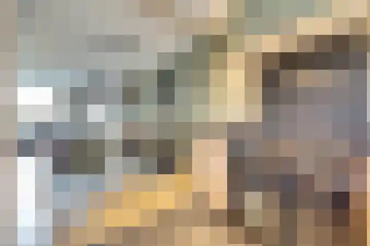 Papeweer 6 Raamsdonksveer thumbnail 21