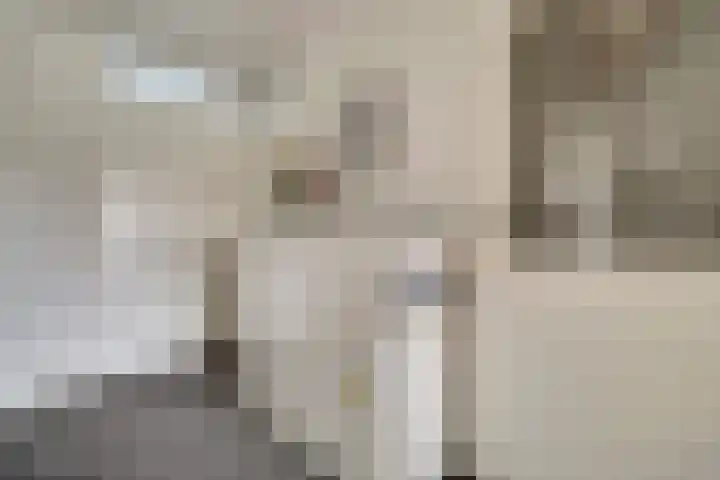 Papeweer 6 Raamsdonksveer thumbnail 22