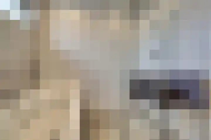 Papeweer 6 Raamsdonksveer thumbnail 30
