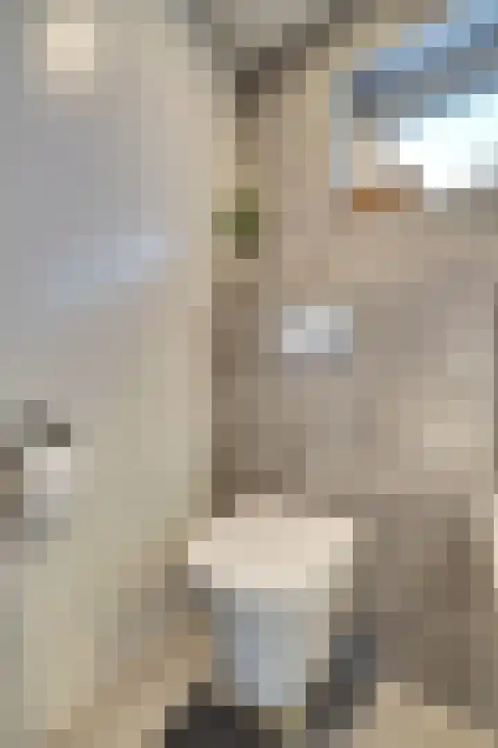 Papeweer 6 Raamsdonksveer thumbnail 31