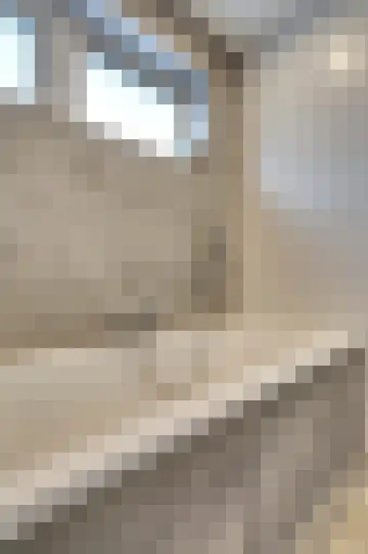 Papeweer 6 Raamsdonksveer thumbnail 32