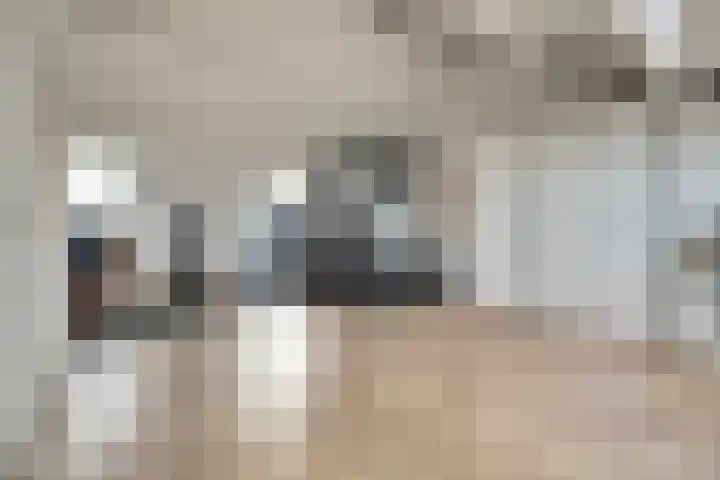Papeweer 6 Raamsdonksveer thumbnail 35
