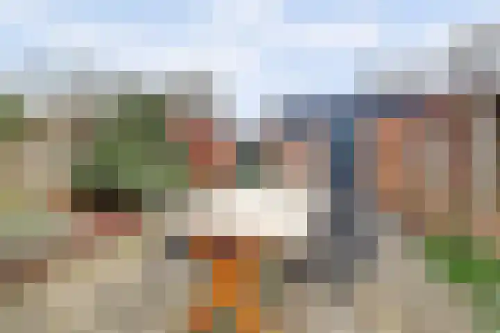 Papeweer 6 Raamsdonksveer thumbnail 42