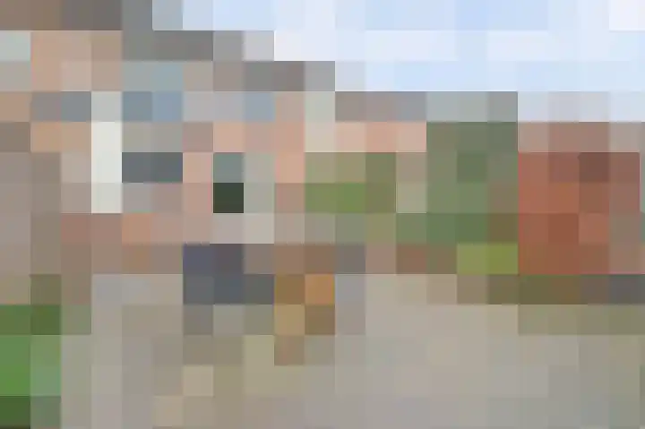 Papeweer 6 Raamsdonksveer thumbnail 43