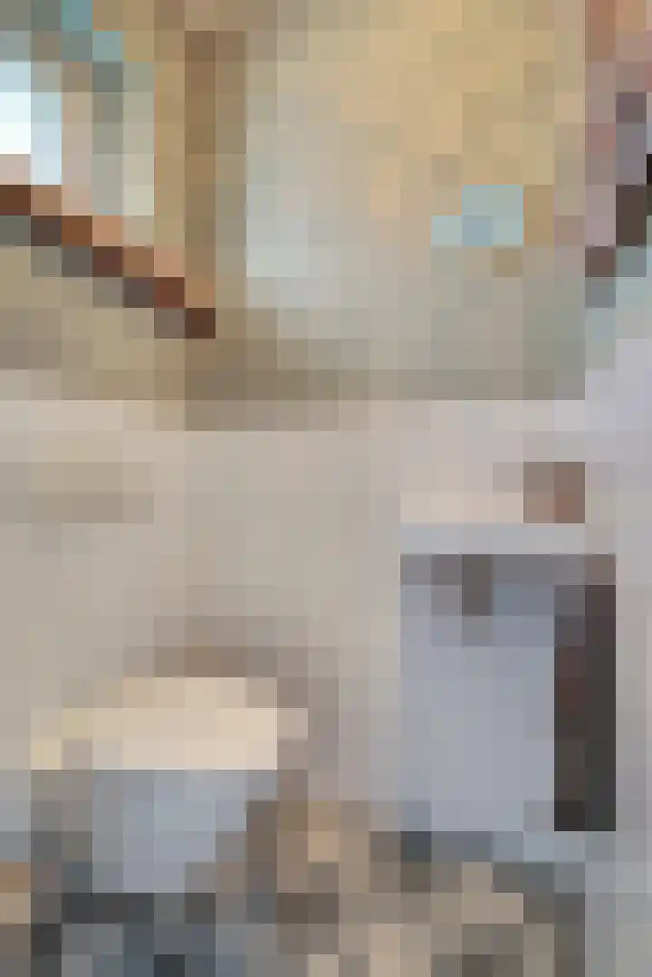 Papeweer 6 Raamsdonksveer thumbnail 6