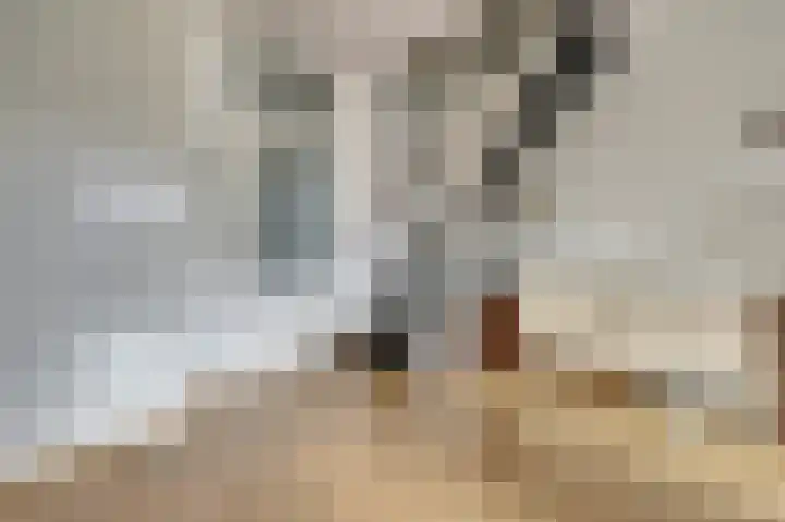 Papeweer 6 Raamsdonksveer thumbnail 7