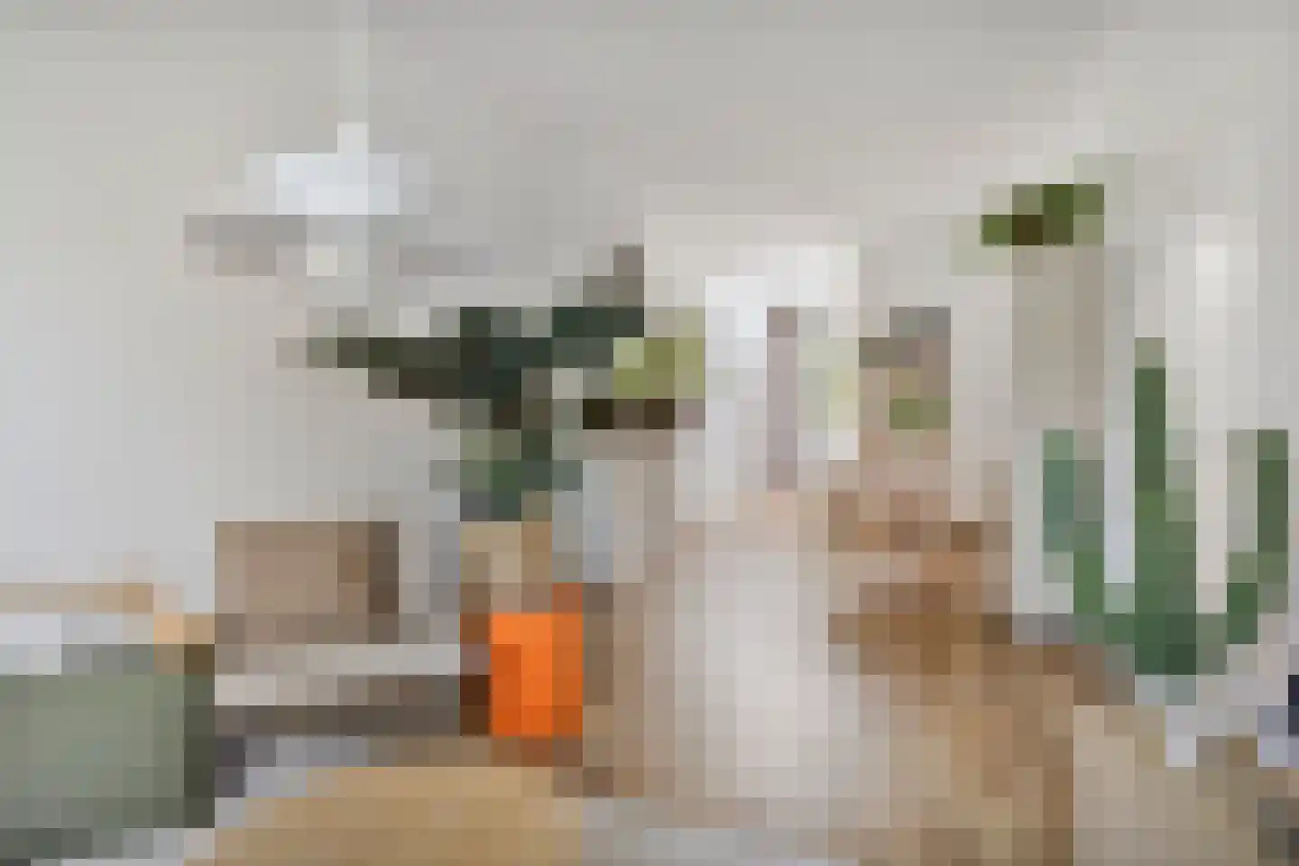 Papeweg 23 Wassenaar thumbnail 11
