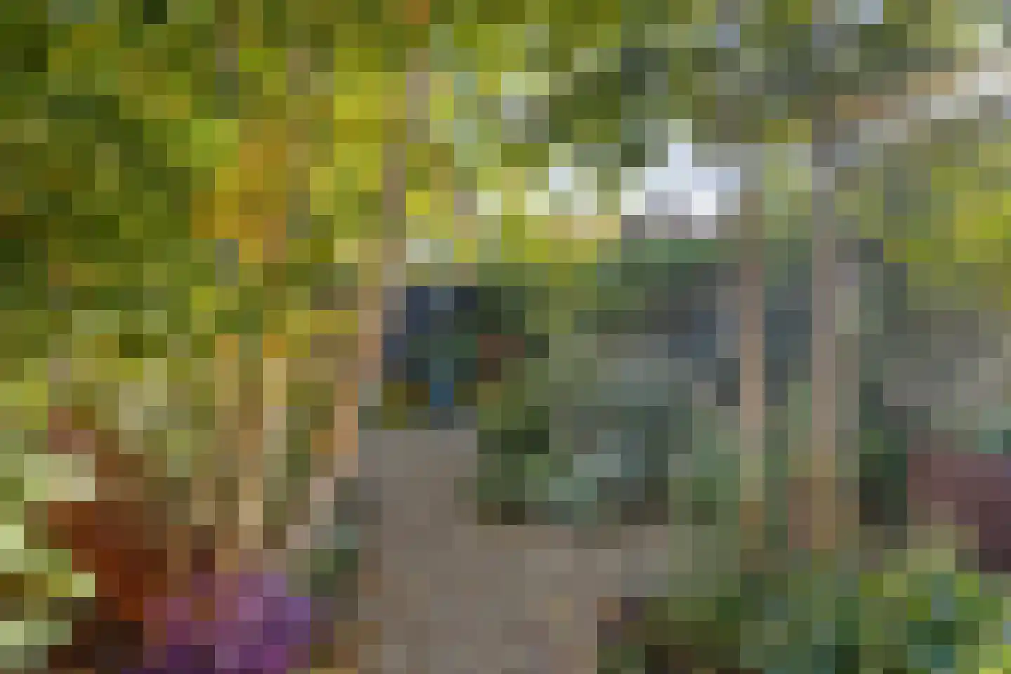 Papeweg 23 Wassenaar thumbnail 21