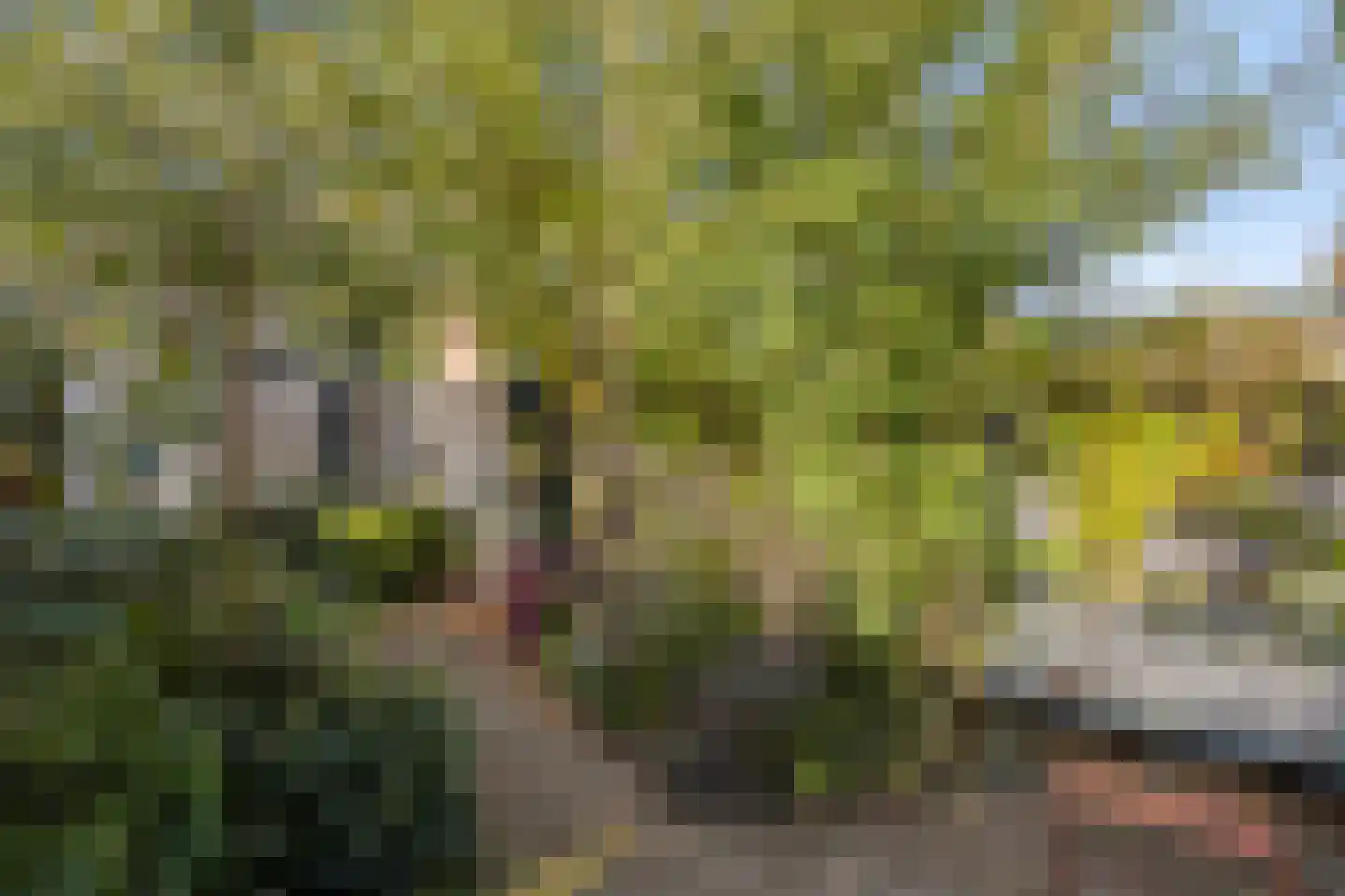 Papeweg 23 Wassenaar thumbnail 22
