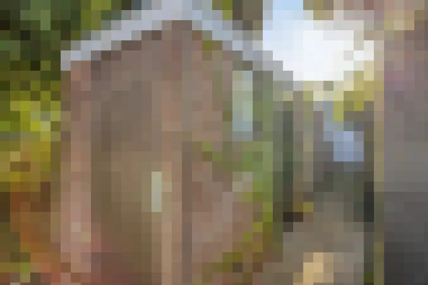 Papeweg 23 Wassenaar thumbnail 23