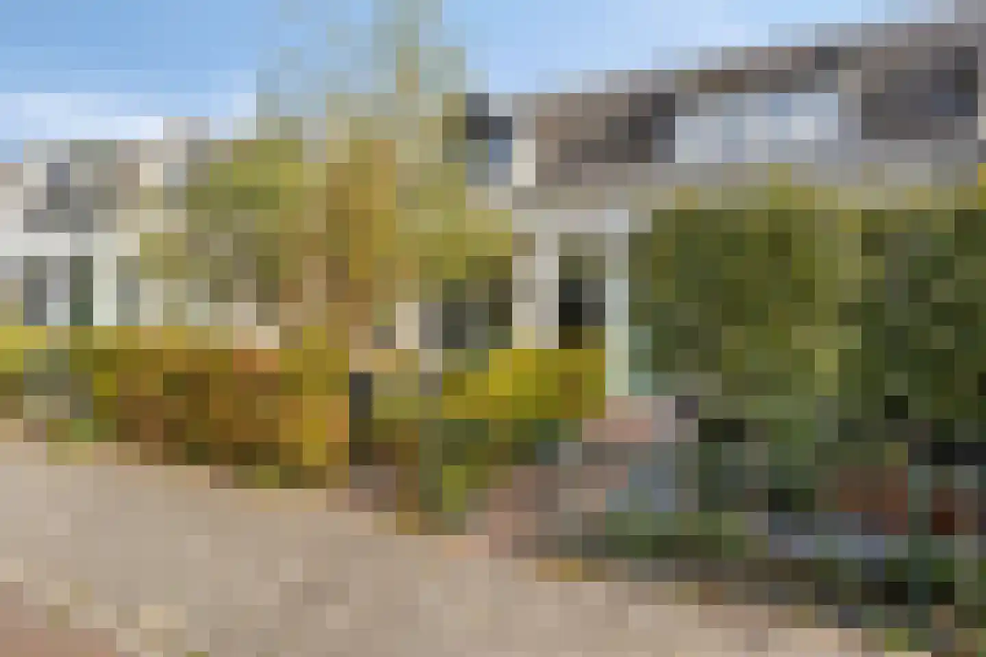 Papeweg 23 Wassenaar thumbnail 32
