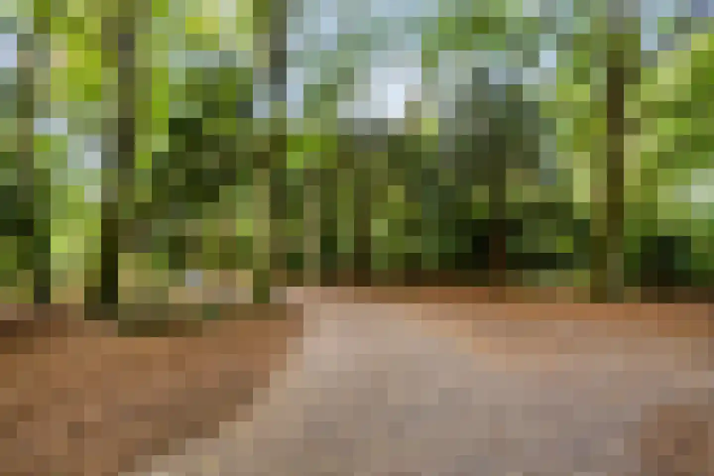 Papeweg 23 Wassenaar thumbnail 36