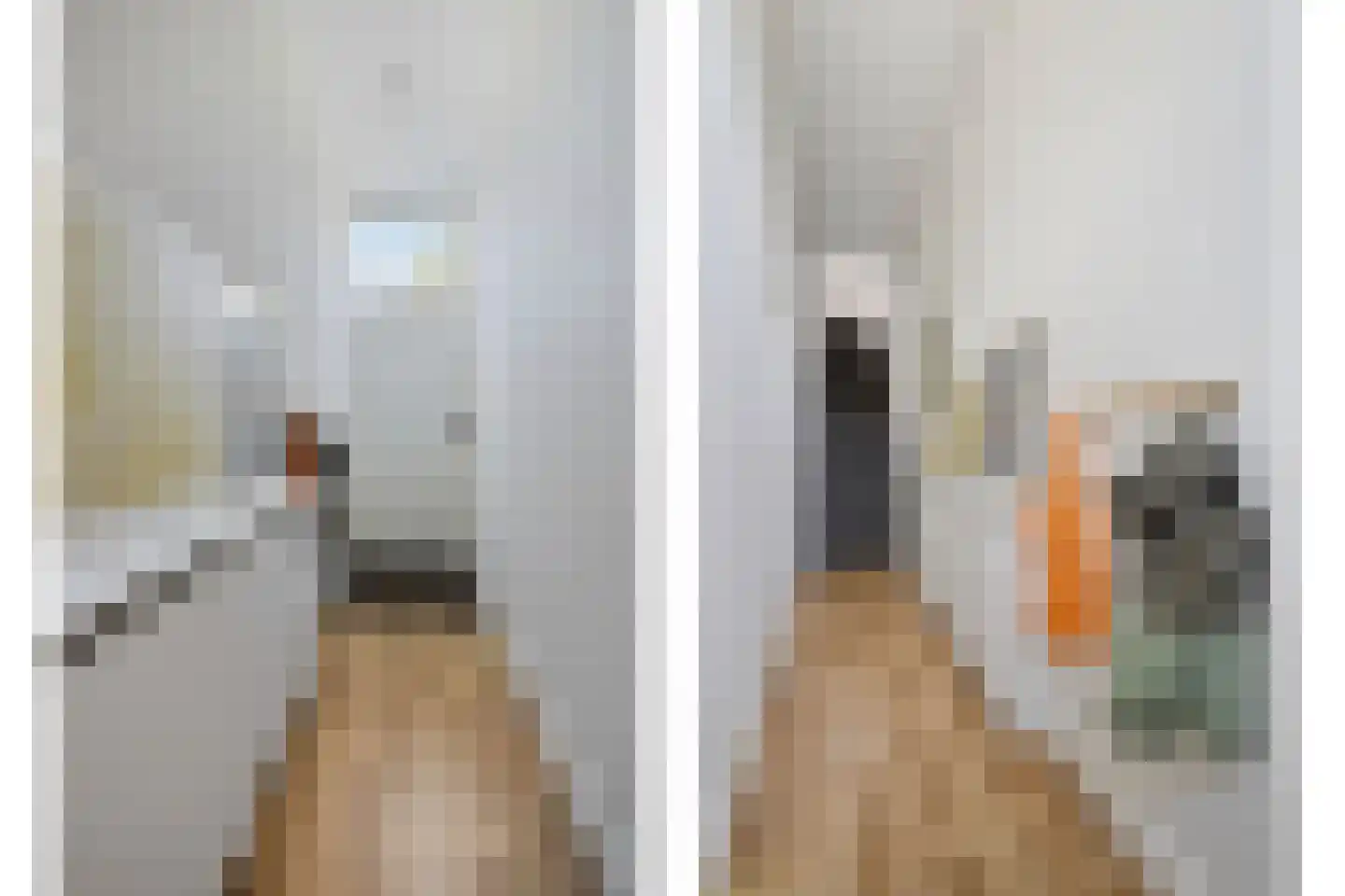 Papeweg 23 Wassenaar thumbnail 8