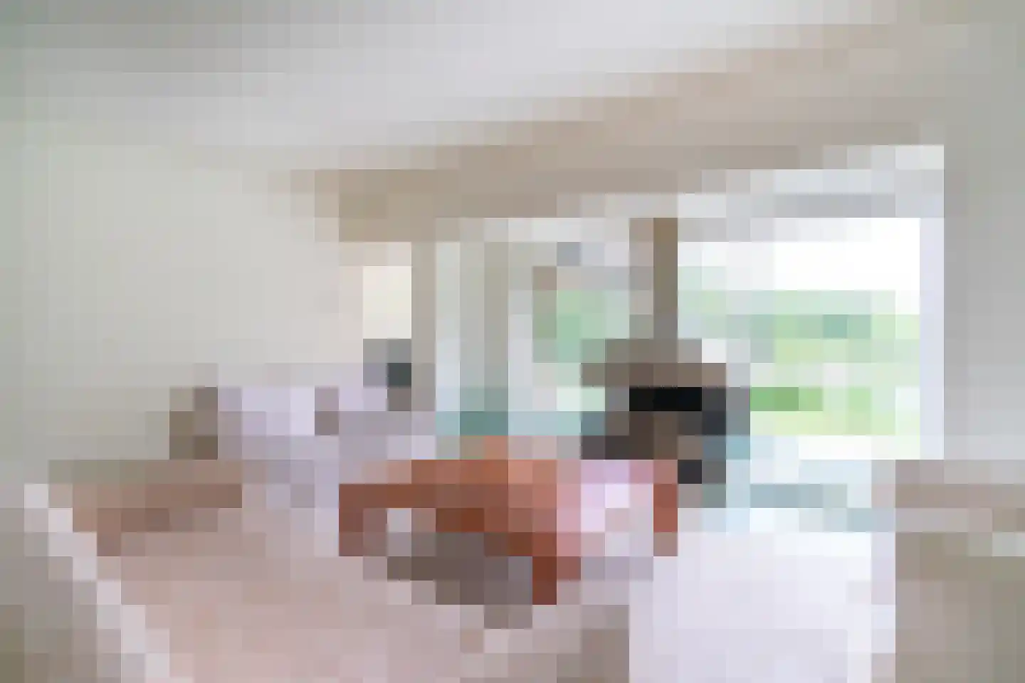 Papeweg 5 Wassenaar thumbnail 10