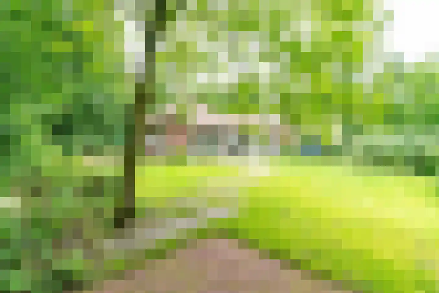 Papeweg 5 Wassenaar thumbnail 30