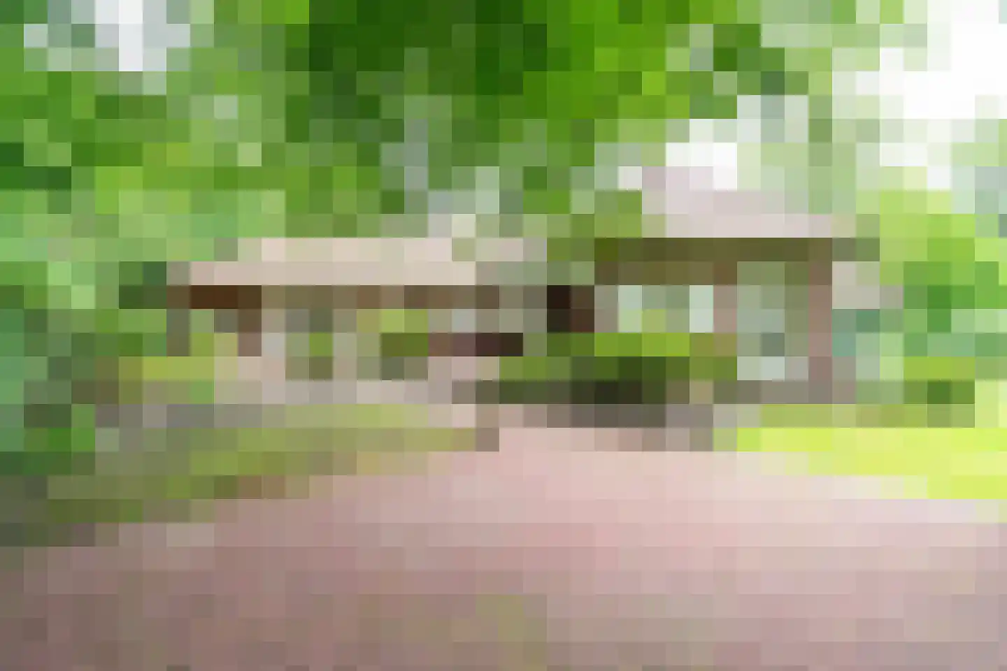 Papeweg 5 Wassenaar thumbnail 32