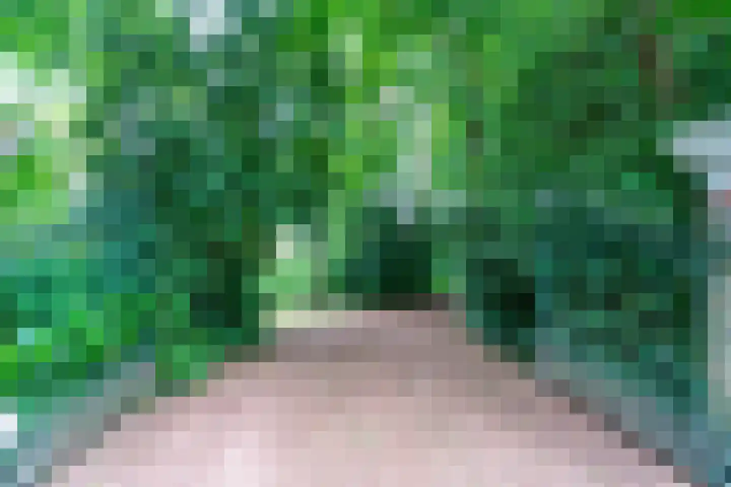 Papeweg 5 Wassenaar thumbnail 4