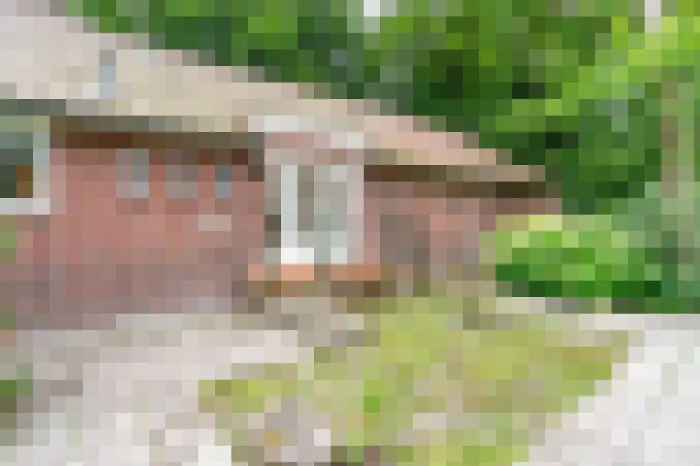 Papeweg 5 Wassenaar thumbnail 5