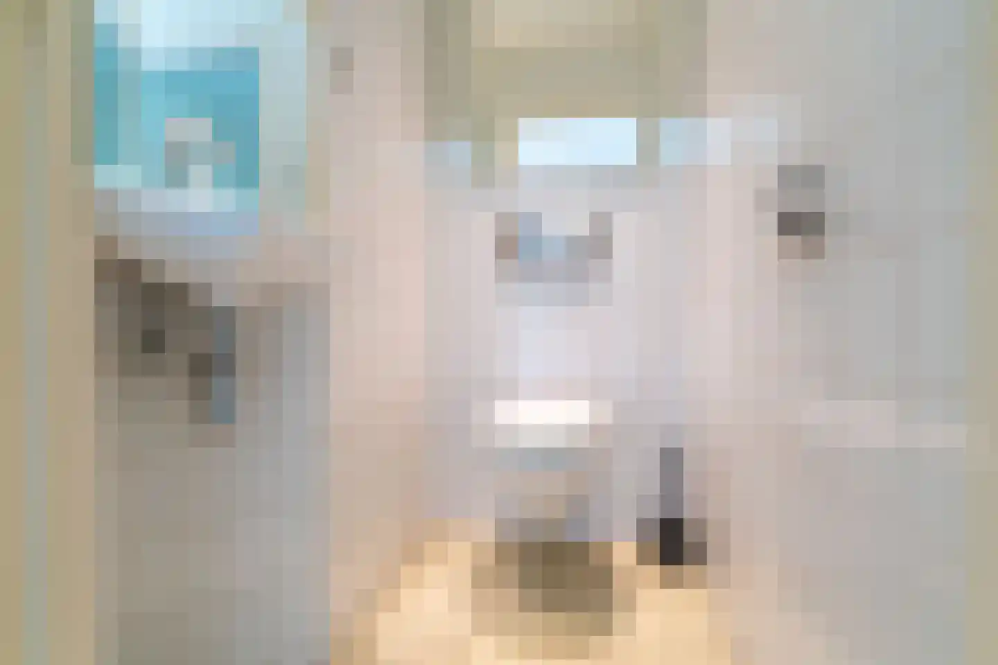 Papeweg 5 Wassenaar thumbnail 8
