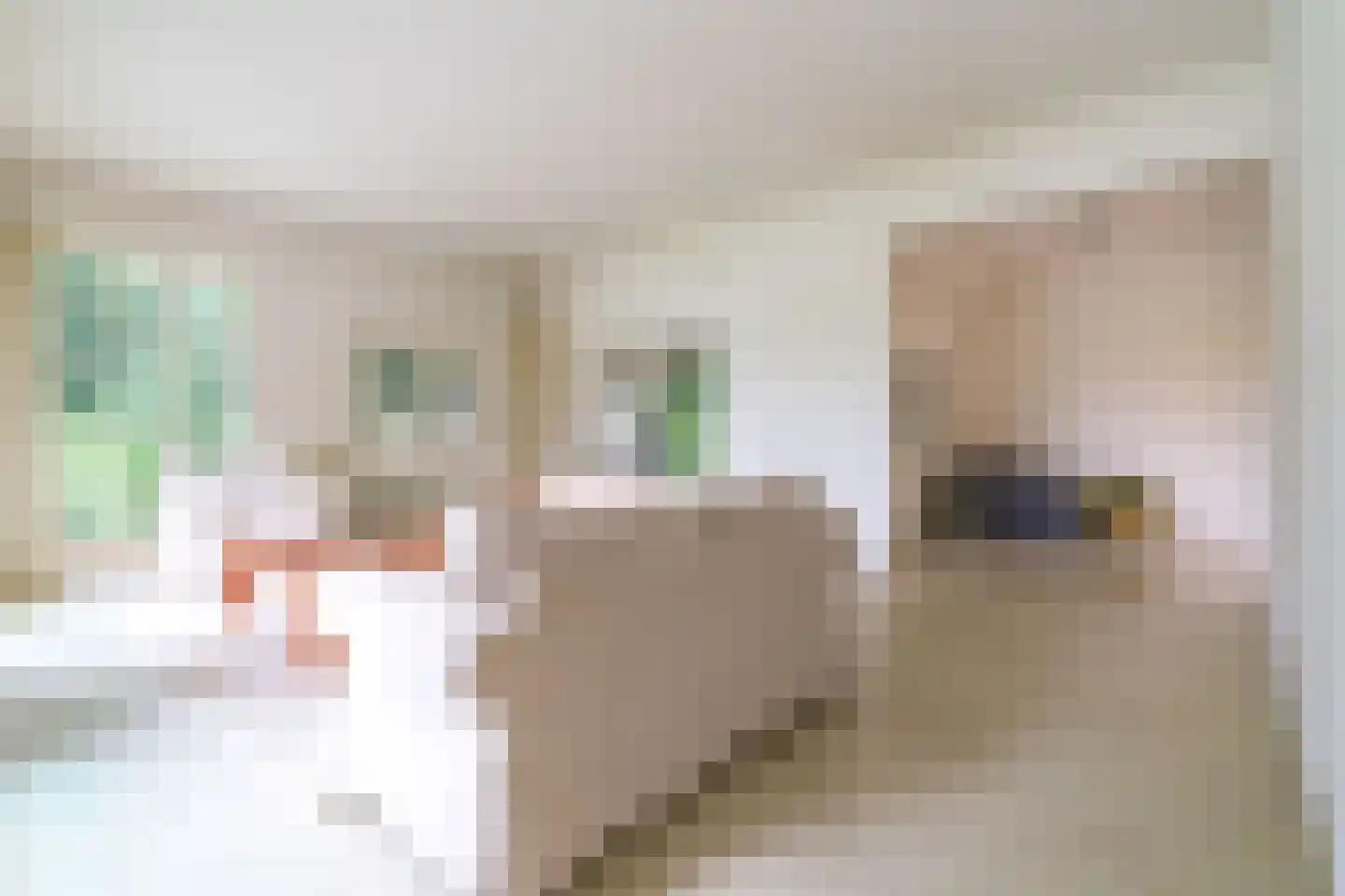 Papeweg 5 Wassenaar thumbnail 9