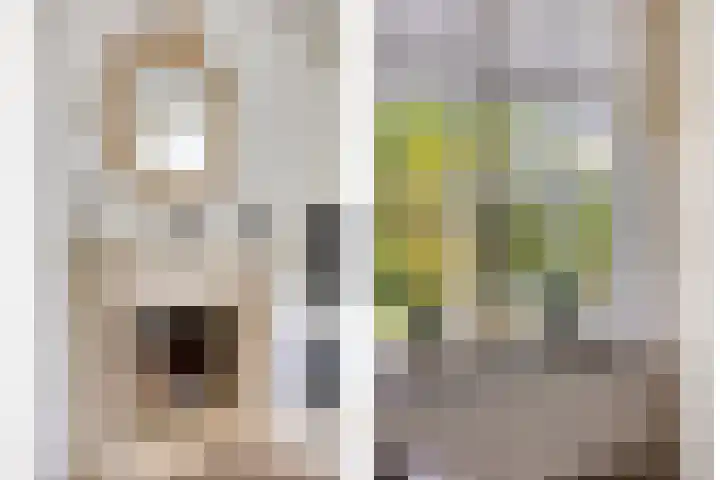 Papewegse Hof 22 Wassenaar thumbnail 13