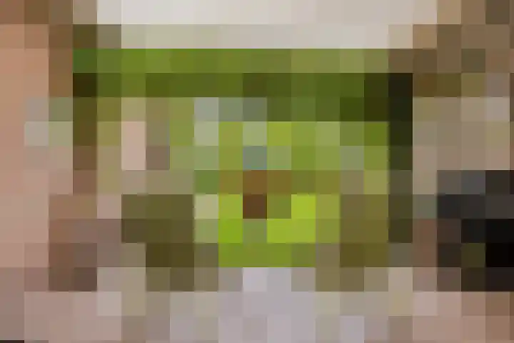 Papewegse Hof 22 Wassenaar thumbnail 19