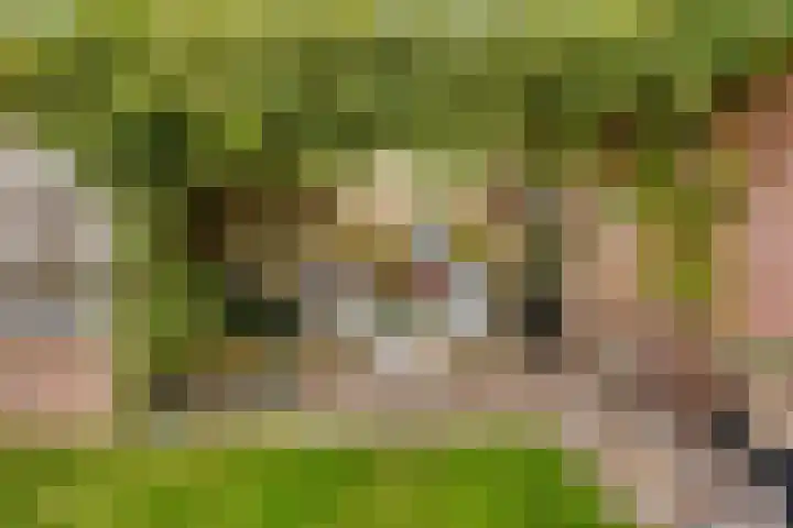 Papewegse Hof 22 Wassenaar thumbnail 20