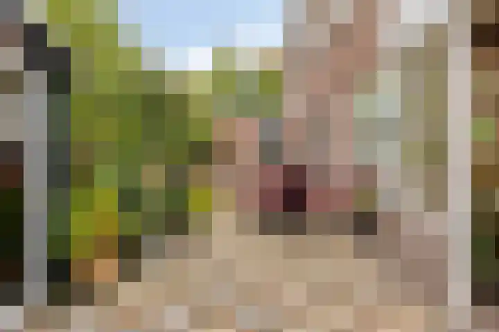 Papewegse Hof 22 Wassenaar thumbnail 23